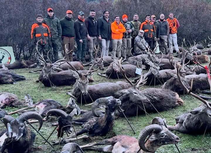 Resultado Montería Aldeabodega 2026 Pelillo SC